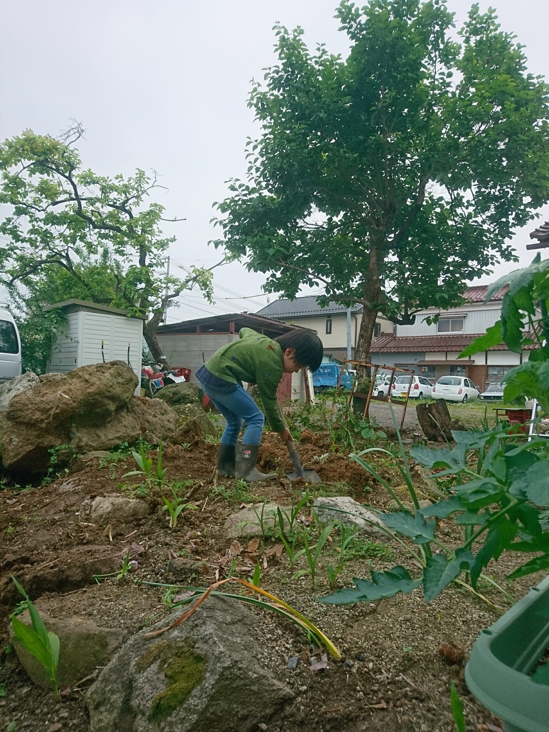 建設前の整地
